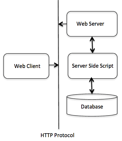 C веб программирование