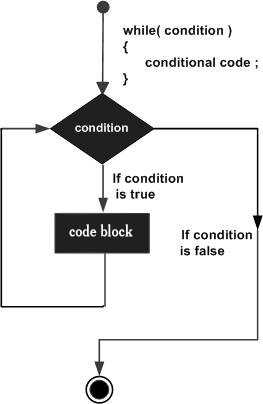 The while loop in C #